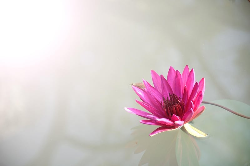 Hatha Yoga